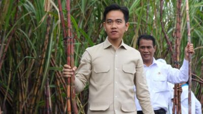 Kisah Sukses Gibran: Kekayaan Rp27,519 M Tanpa Utang