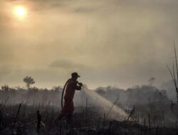BNPB Mulai Implementasi Modifikasi Cuaca di Riau