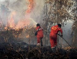 Tetapkan Darurat Bencana Karhutla di Riau: Langkah Penting SEO-friendly.