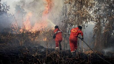 Tetapkan Darurat Bencana Karhutla di Riau: Langkah Penting SEO-friendly.