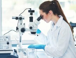 Jenis-jenis Tes DNA: Kelebihan dan Kekurangannya