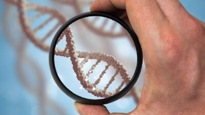 Mengapa Tes DNA Penting untuk Kesehatan?