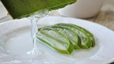 Manfaat Lidah Buaya untuk Rambut Rontok: Tips Ampuh!
