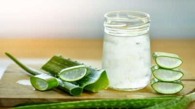 Manfaat Luar Biasa Lidah Buaya untuk Kesehatan
