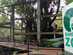 Kisruh Bandung Zoo: Gerbang Ditutup Dijebol Massa