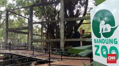 Kisruh Bandung Zoo: Gerbang Ditutup Dijebol Massa