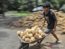 9 Produk Olahan Buah Kelapa dengan Nilai Ekonomi Tinggi: Panduan Lengkap