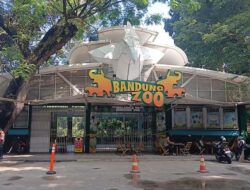 Terdakwa Kasus Bandung Zoo Gugat Walkot Farhan: Dampak dan Tuntutan