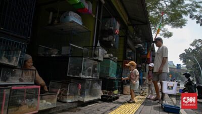 Suara Pedagang Barito Terdengar saat Persiapan Relokasi