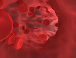 Bulan Kesadaran Kanker Darah 2025: Fakta tentang Multiple Myeloma
