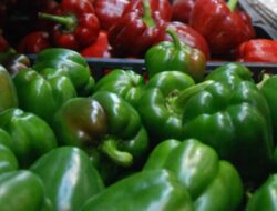 Manfaat Paprika dan Ubi Jalar untuk Kesehatan Mata