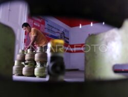 Rekrutmen PMO Kemenkop 2025: Link, Jadwal Tes Tulis, Tahapan