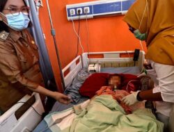 Balita di Bengkulu Muntah Cacing Gelang dari Mulut dan Hidung: Penyebab dan Penanganan